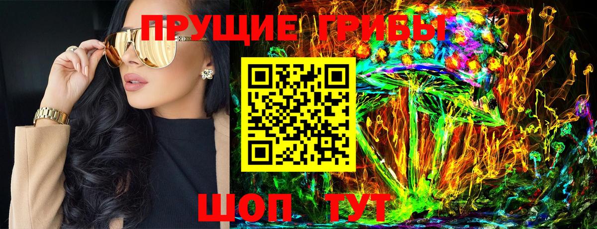 Бузулук  Псилоцибиновые грибы MAGIC MUSHROOMS  Вход с VPN 
