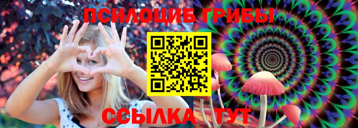 Галлюциногенные грибы Бузулук